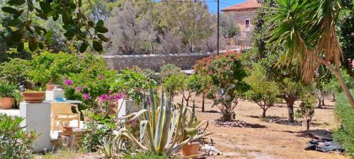 Posidonia Apartment | Elli's House