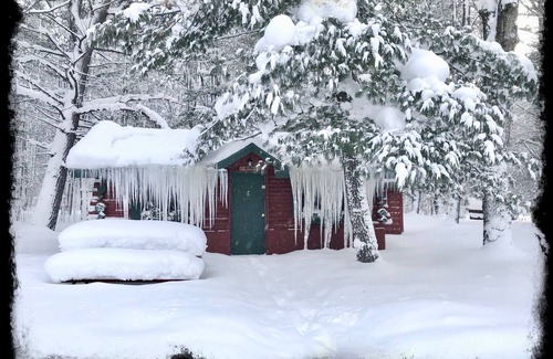 Grawn Cabin | Ellis Lake Resort - Birch Log Cabin-Interlochen/Traverse City