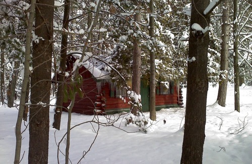 Grawn Cabin | Ellis Lake Resort - Maple Log Cabin-Interlochen/Traverse City