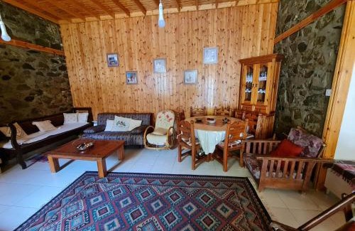 Kalopanayiotis Villa | Elpiniki's Old House