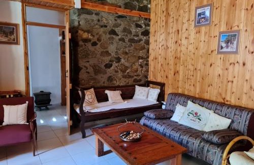 Kalopanayiotis Villa | Elpiniki's Old House