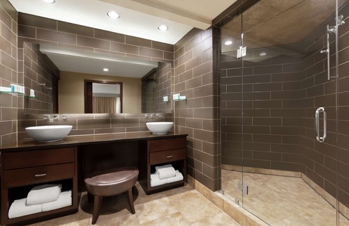 Grapevine Hotel | Embassy Suites by Hilton Dallas DFW Airport North