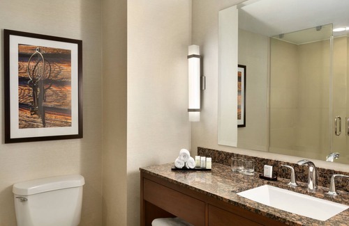 Grapevine Hotel | Embassy Suites by Hilton Dallas DFW Airport North