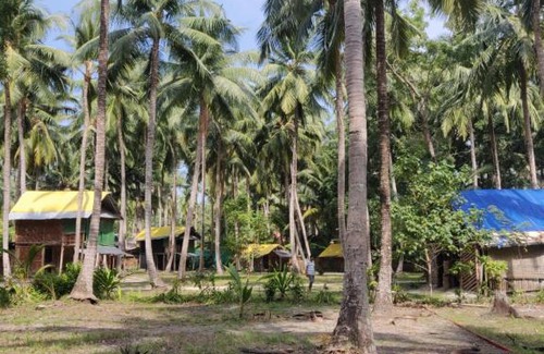 Havelock Island Cabin | Emerald Gecko