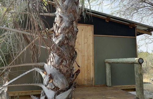 Maun RV Rental | Empty campsite in natural farm between Maun and Moremi