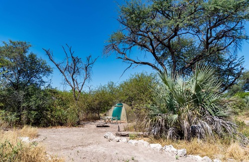 Maun RV Rental | Empty campsite in natural farm between Maun and Moremi