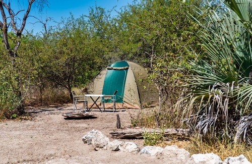 Maun RV Rental | Empty campsite in natural farm between Maun and Moremi