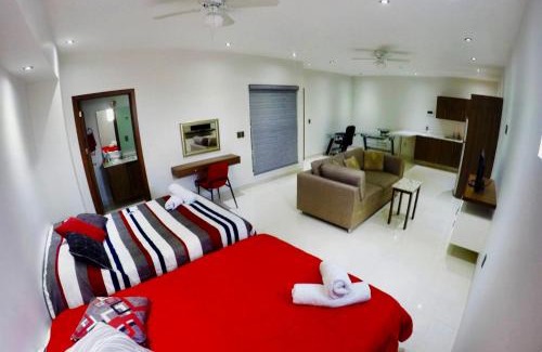 Aguascalientes Apartment | En el Centro 3 Hermoso Loft Familiar AC WiFi 300 mbps