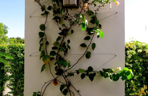 Centro Apartment | Enchanting 3 Room Duplex Casita With Roof Garden Deck In Centro Merida