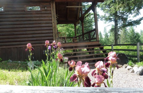 Polson Cabin | ENCHANTING CABIN IN THE WOODS