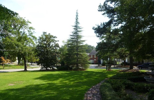 Wilson House | Enchanting Estate In the heart of Wilson
