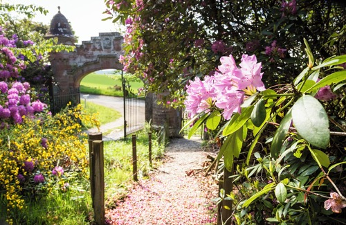 Bridgend of Lintrathen House | Enchanting lochside lodge house in peaceful woodedn grounds