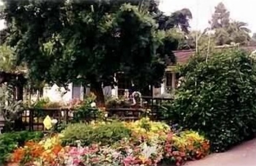 Del Mar Cottage | Enchantment in Old Del Mar