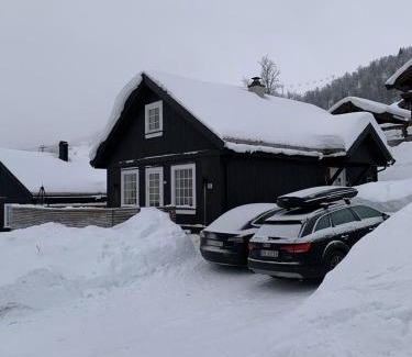 Rauland House | Endely - ski inn/ut