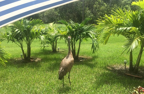 Stuart House | Enhanced cleaning Protocol. Brilliant view of nature preserve. 3 months min .
