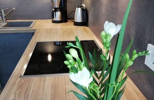 Lauterbach Apartment | Enjoy a moment of peace and relaxation in your hectic everyday life.