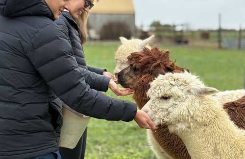 Adelaide Metcalfe House | Enjoy a Rustic Farm Stay on our Agri-Tourism & Wellness Farm! Cozy Space for two