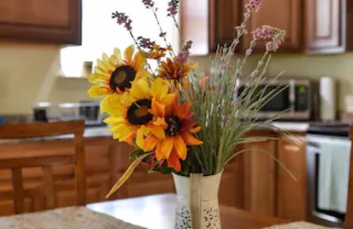 Wyldwood Cottage | Enjoy Austin and bring your pets! Relax and unwind after the Austin good times
