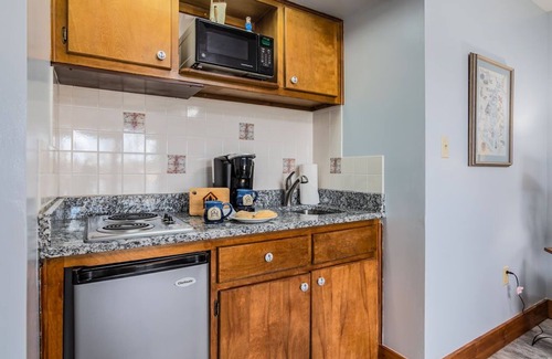 Big Cedars House | Enjoy Being Dockside on Table Rock Lake-Walk-In Level-Dog Friendly-Free Tickets!