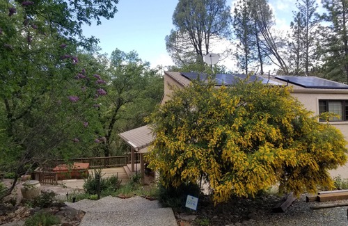 Angels Camp House | Enjoy concerts, wine, beer tasting, shopping or relaxing in town by Angels Creek