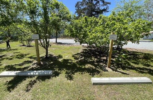Crawfordville Cottage | Enjoy Crawfordville at the Courtyard’s Pelican Cottage.