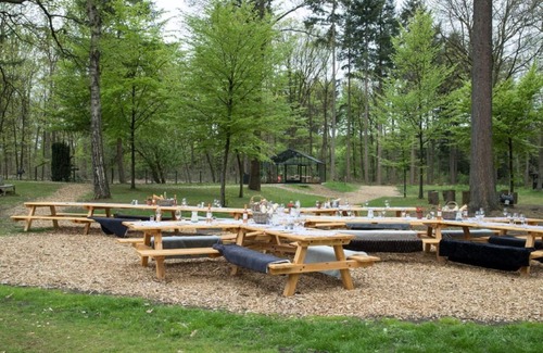 Wolfheze Hotel | Enjoy Forest Serenity in a Plush Room Near De Hoge Veluwe - 2 Units
