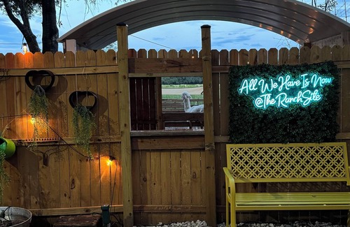 Webster House | Enjoy nature and spend some time with yourself surrounded by beautiful animals.