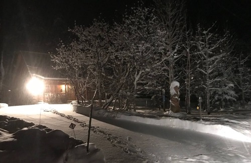Forest Lakes Cabin | Enjoy the cool pines in colorful COLORADO! Park like setting & Wildlife GALORE!