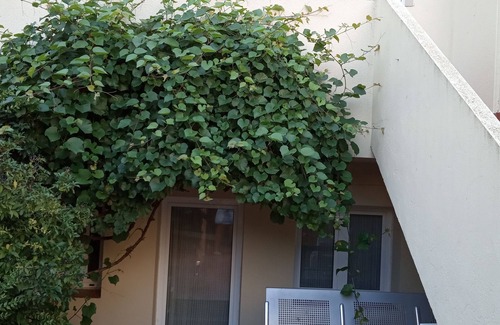 Saus House | Enjoy the heart of Empordà