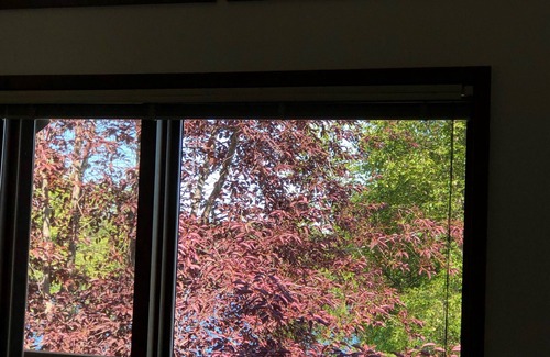 Nikiski House | Enjoy the Lake and Loons