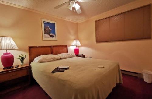 Snowshoe Apartment | Enjoy the Long Range View, Ski in n out Top of the Mountain condo