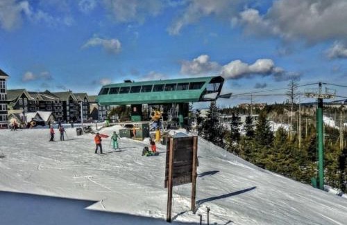 Snowshoe Apartment | Enjoy the Long Range View, Ski in n out Top of the Mountain condo