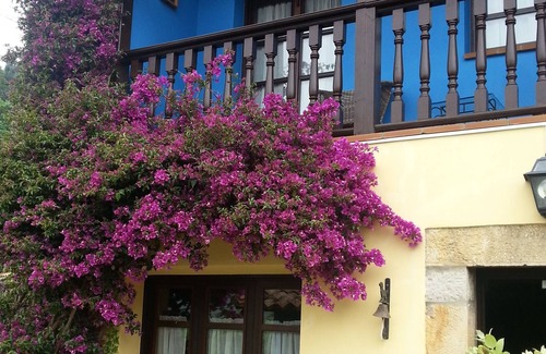 Tresgrandas House | Enjoy the natural paradise of Asturias in our country house El Rosal