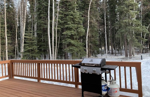 North Pole House | Enjoy year round Christmas in North Pole AK with 3 beds 2 baths