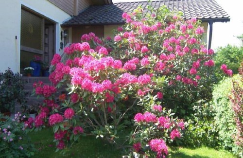 Bobrach Apartment | Enjoy your holiday in the contemplative Böbrach in ArberLand near Bodenmais.