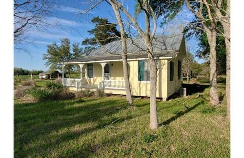 New Ulm House | Entire home in Austin County