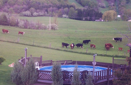 Cazenovia House | ENTIRE HOUSE: RidgeView at the top of Chittenango Falls! 3 bedrooms, sleeps 6