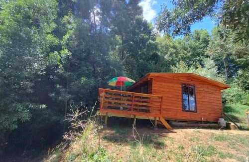 Lago Ranco Apartment | Entre Aromos