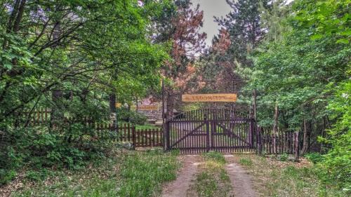 Dorgicse House | Erdő Mélyén Házikó