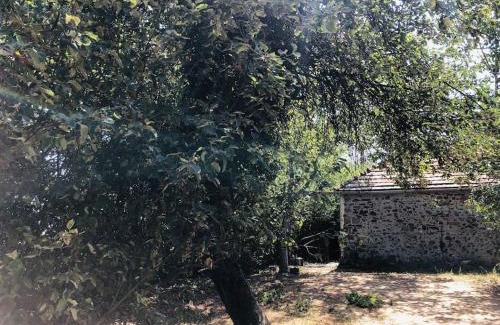 Mindszentkalla House | Erdőszéli nyaralóház Mindszentkálla