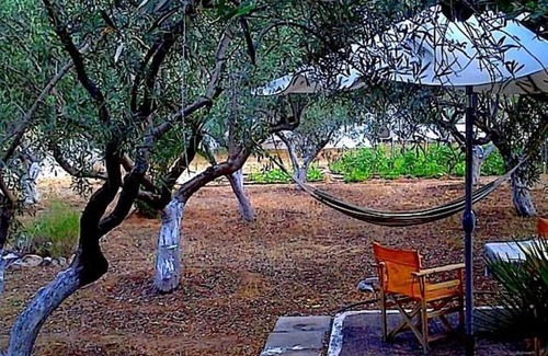 Eretria House | Eretria: Single storey house, in an olive grove, 250 from the beach