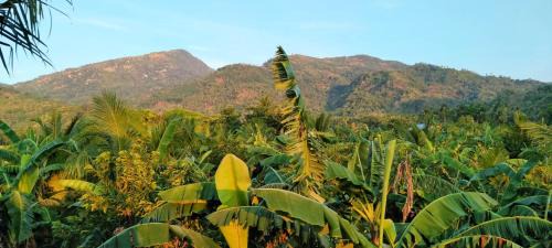 Bulalacao House | ERN Travellers Inn House in Mindoro