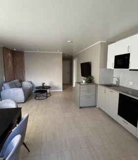 Ersfjordbotn Apartment | Ersfjord Villa Apt