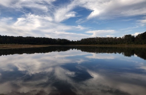 Range Cabin | Escambia Lakes Fish Camp, Goat Refuge, Duck Utopia, Farms on 75 wild acres