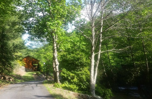 Sparta Cabin | Escape and Heal your body and soul