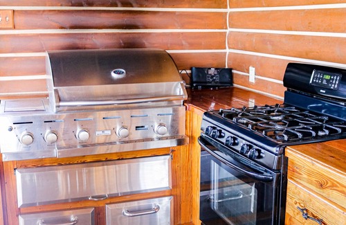 Pagosa Springs Cabin | Escape the Crowds and Enjoy your own Private View- Moose cabin