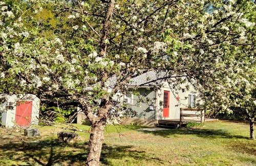 Center Ossipee Cottage | Escape to a cozy getaway in the White Mountains! Bonus: free early check-in!