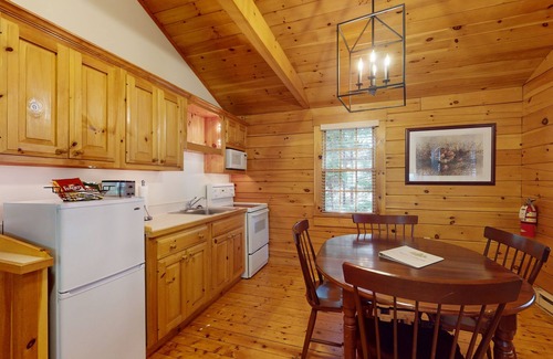 Northport Cabin | Escape to a dog-friendly cabin w/streaming, kitchen, fireplace & nature nearby