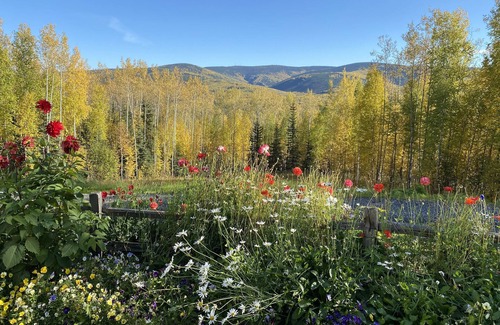 Interior Alaska Apartment | Escape to Birchwood Suite