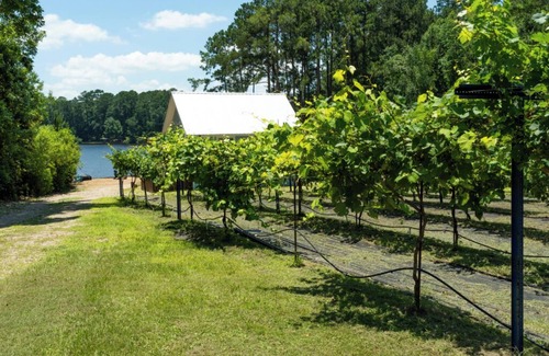 Hillister Cottage | Escape to our serene lakefront cottage & vineyard with stunning views!